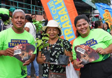 Prefeitura de Manaus realiza a doação de 400 mudas na zona Oeste e ultrapassa 29 mil distribuídas em 2026