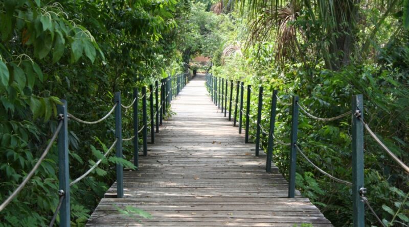 Em nota, a Prefeitura de Manaus informa que o mutirão de regularização fundiária no Parque dos Buritis retorna na terça-feira, 27/10, das 9h às 16h