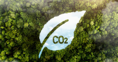 Crédito de carbono de alta qualidade sobe 75%, diz MSCI