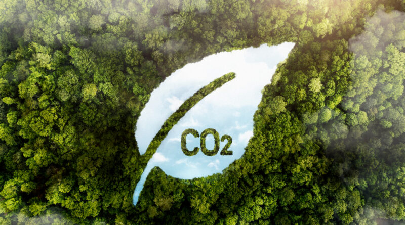 Crédito de carbono de alta qualidade sobe 75%, diz MSCI