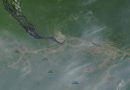 Imagens de satélite mostram Manaus encoberta por fumaça